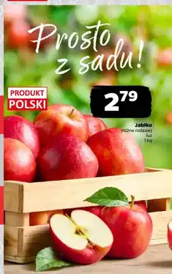 Netto Jabłka oferta