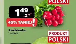 Netto Rzodkiewka oferta