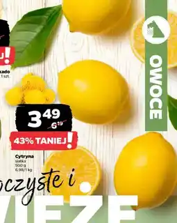 Netto Cytryna w siatce oferta