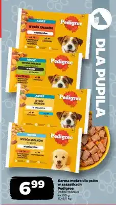 Netto Karma mokra dla psów w saszetkach Pedigree 4-pak oferta