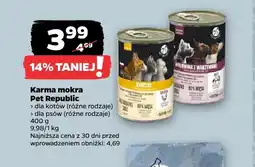 Netto Karma mokra dla kotów Pet Republic oferta