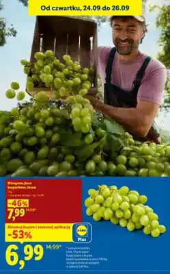 Lidl Winogrona jasne bezpestkowe oferta
