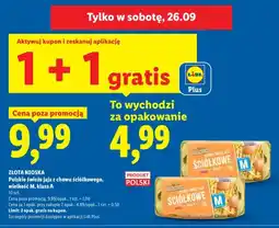 Lidl Jajka kurze Polskie świeże z chowu ściółkowego wielkość M Złota Nioska oferta