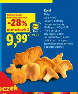 Lidl Kurki oferta