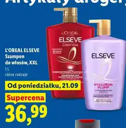 Lidl Szampon do włosów XXL L'Oreal Elseve oferta