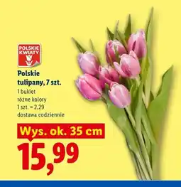 Lidl Polskie tulipany 7 szt oferta