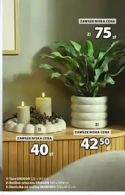 JYSK Taca Gregor oferta