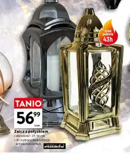 Intermarche Znicz z połyskiem 29-30 cm Original Płomyk oferta