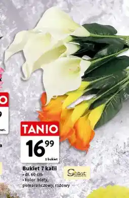 Intermarche Bukiet 7 kalii Goliat oferta