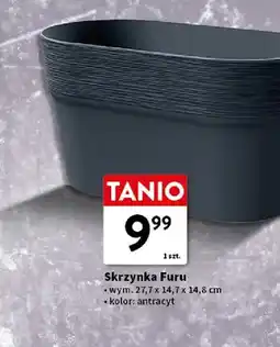 Intermarche Skrzynka Furu oferta