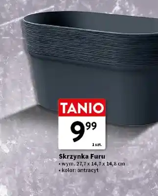 Skrzynka Furu