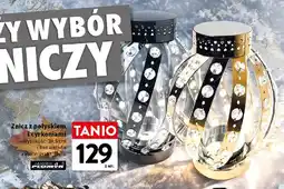 Intermarche Znicz z połyskiem i cyrkoniami Płomyk oferta