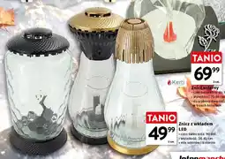 Intermarche Znicz z wkładem LED oferta