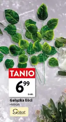 Intermarche Gałązka liści Goliat oferta