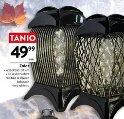 Intermarche Znicz 34 cm oferta