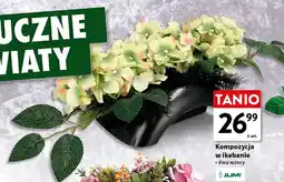 Intermarche Kompozycja w ikebanie Jumi oferta