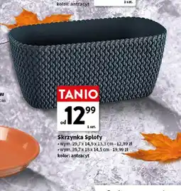 Intermarche Skrzynka Splofy 29,7x14,5x13,3 cm oferta