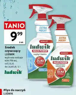 Intermarche Środek czyszczący Ludwik oferta