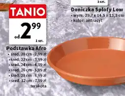 Intermarche Podstawka Afro śred. 20 cm oferta