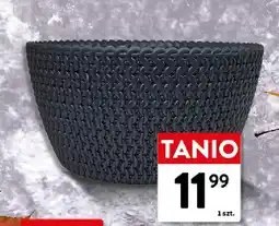 Intermarche Doniczka Splofy Low oferta