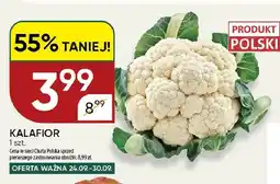 Chata Polska Kalafior oferta