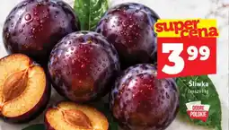 Topaz Śliwka oferta