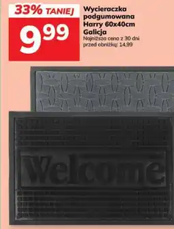 Hitpol Wycieraczka podgumowana Harry Galicja oferta