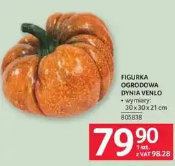 Selgros Figurka Ogrodowa Dynia Venlo oferta
