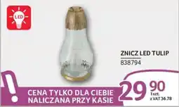 Selgros Znicz LED Tulip oferta