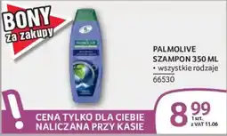 Selgros Szampon Palmolive oferta