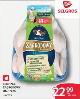 Selgros Kurczak Zagrodowy oferta