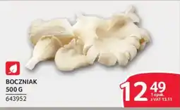 Selgros Bocznik oferta