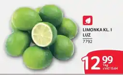Selgros Limonka Kl. I Luz oferta