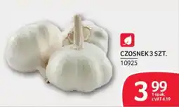 Selgros Czosnek oferta