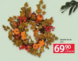 Selgros Wianek oferta