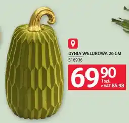 Selgros Dynia welurowa oferta