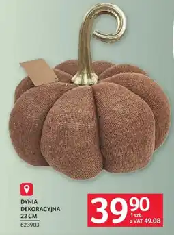 Selgros Dynia Dekoracyjna oferta