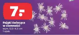 Netto Pająki świecące w ciemności oferta