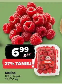 Netto Malina oferta