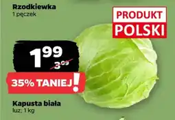 Netto Rzodkiewka oferta
