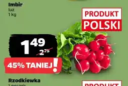 Netto Rzodkiewka oferta