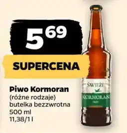 Netto Piwo Kormoran oferta