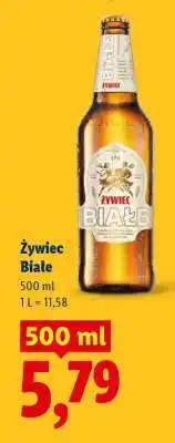 Lidl Żywiec Białe oferta