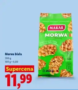Lidl Morwa biała oferta