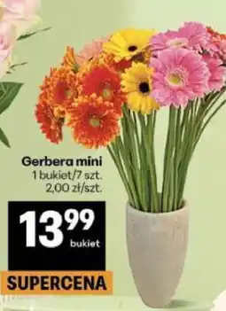 Delikatesy Centrum Gerbera mini oferta