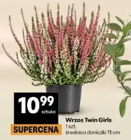 Delikatesy Centrum Wrzos Twin Girls oferta