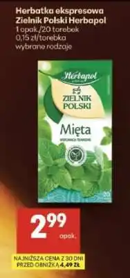 Delikatesy Centrum Herbatka ekspresowa Zielnik Polski Herbapol oferta