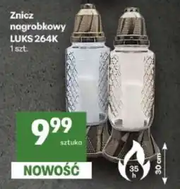 Delikatesy Centrum Znicz nagrobkowy LUKS 264K oferta