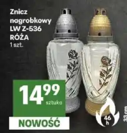 Delikatesy Centrum Znicz nagrobkowy LW Z-536 RÓŻA oferta