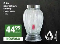 Delikatesy Centrum Znicz nagrobkowy solarny LW L-1650 oferta